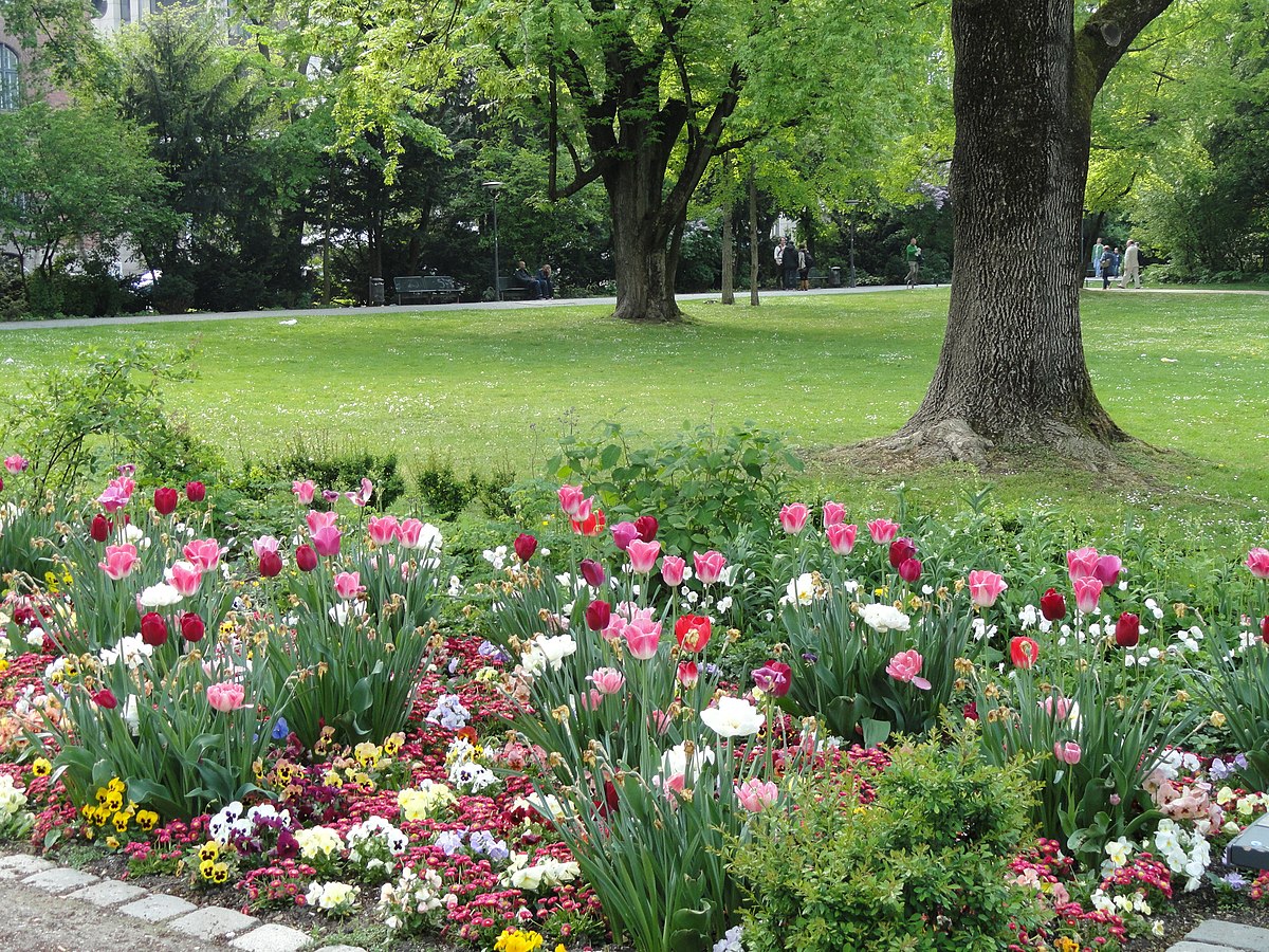 Datei Alter Botanischer Garten Munchen Dsc07392 Jpg Wikipedia