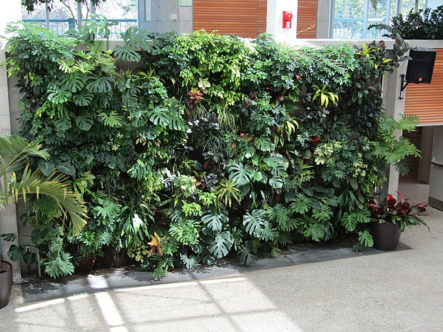 "Living walls", mass planted vertical gardens, emerged as a trend in 21st century interiors.