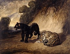 Dos jaguares de Perú, de Antoine-Louis Barye (1833).
