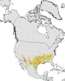 Aphaenogaster texana - range map - with observation data.png