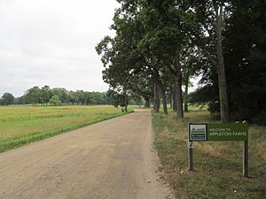 Entrance area to the site