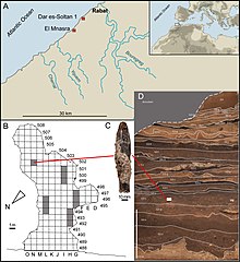 Archaeological and stratigraphical context of the bone implement from Dar es-Soltan 1, dated, 90,000 years BP Archaeological and stratigraphical context of the bone implement from Dar es-Soltan 1, dated 90,000 years BP.jpg