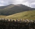 Bawdlun am Arenig Fawr