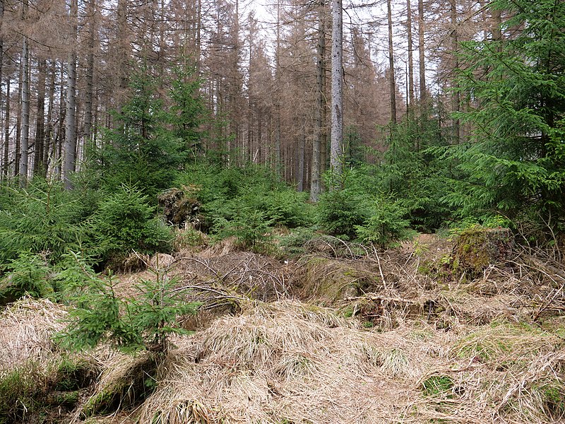 File:At Königskruger Planweg 11.jpg