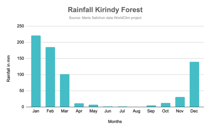 File:Average Rainfall Kirindy Forest.png