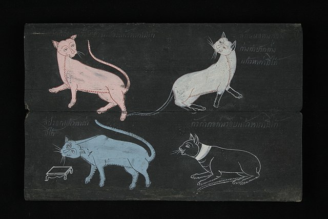 Suphalak cat, Siamese cat, Korat cat and Ninlachak cat in Tamra Maew (The Cat-Book Poems) are thought to originate from the Ayutthaya Kingdom (1351 to