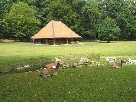 Bad Homburg Hirschgarten