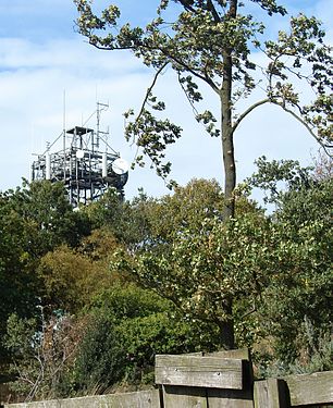View of the tower from a little further down the hill