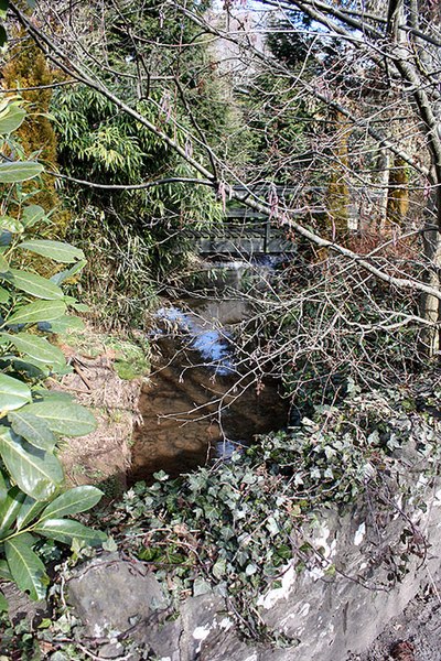 File:Barton Brook from Barton Bridge, Raglan - geograph.org.uk - 1754394.jpg