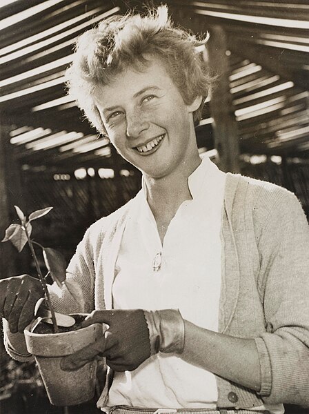 File:Betty Cuthbert, c. 1950s, by Ted Hood.jpg