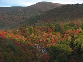 Black Balsam Knob jesienią.JPG