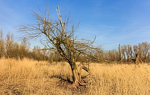 Nieuw Land National Park