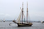 Брест 2012 Zuiderzee 615.JPG