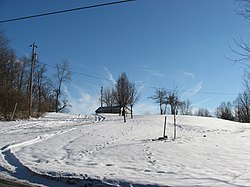 Tertutup salju pemandangan di sepanjang Tua Springfield Jalan