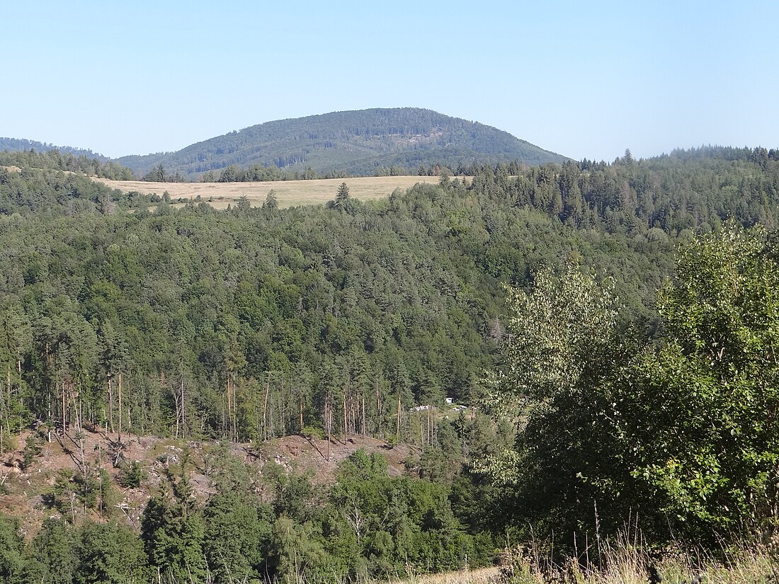 Bučina (vrch v Revúckej vrchovine)