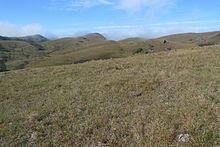 vegetação de altitude – ESPAÇO EM TRANSFORMAÇÃO