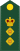 Канадска армия OF-5.svg