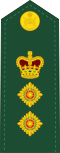 Ejército canadiense OF-5.svg