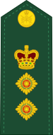 File:Canadian Army OF-5.svg
