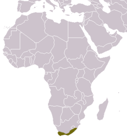 Мапа поширення виду Genetta tigrina