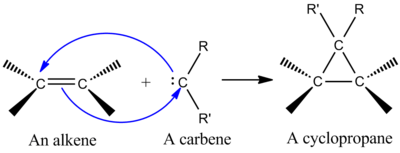 Addition of a carbene to an alkene to form a cyclopropane Carbene addition to alkene.png