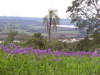 Photo prise dans le département de San Javier de la province de Misiones. Au fond, le río Uruguay qui fait frontière avec le Brésil.
