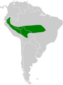 Chaetura egregia map.svg