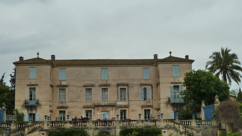 File:Chateau de Flaugergues - Jubaea chilensis centenaire.JPG