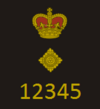 CoLP New Rank Insignia - Chief Superintendent.png
