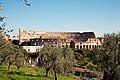 Colosseum seen from Palatine hill Template:Location-dec