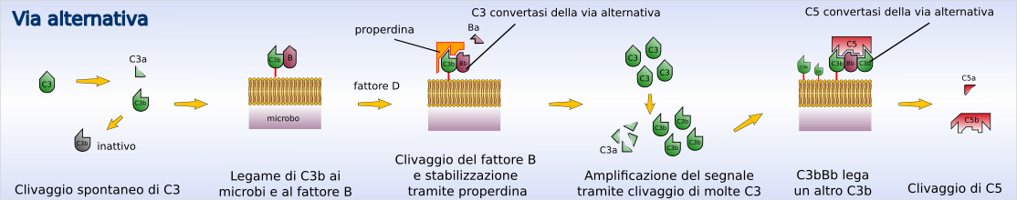 Complemento alternativo.svg