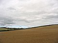 Cropland at Treban Farm, Bryngwran - geograph.org.uk - 1442281.jpg