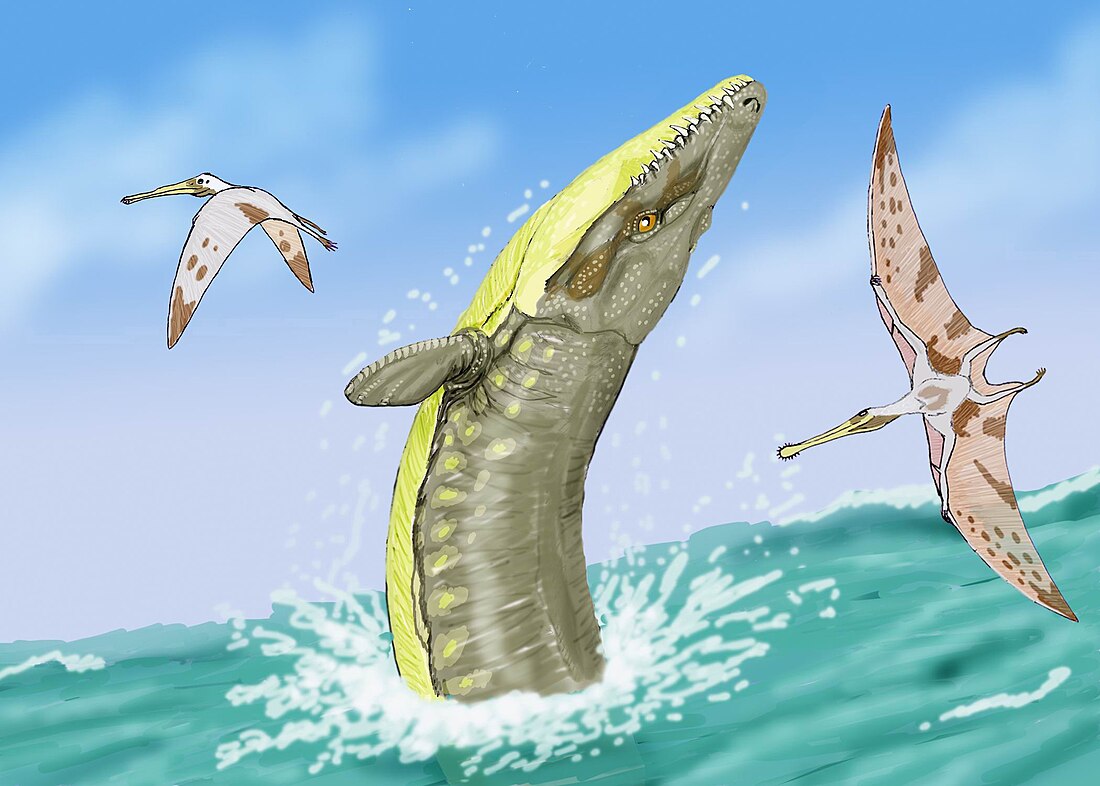 File:Dakosaurus2.jpg