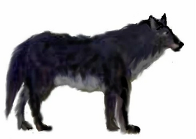 Representação artística de lobo-andino
