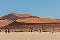 * Nomination Dead Vlei, Sossusvlei, Namibia --Poco a poco 11:07, 10 February 2019 (UTC) * Promotion Impressive series and landscape --Milseburg 14:51, 10 February 2019 (UTC)