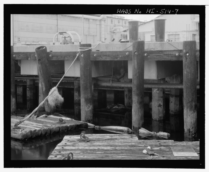 File:Detail of pier structure and wood fenders of Facility No. B-1, showing floats in foreground and bollards on pier, view facing east - U.S. Naval Base, Pearl Harbor, South Quay Wall and HABS HI-514-7.tif