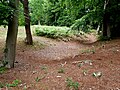 Detail of the putatively prehistoric earthworks on West Wickham Common, located between West Wickham and Hayes.