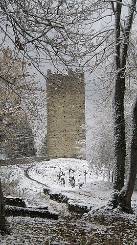 Image illustrative de l’article Château de Montmayeur