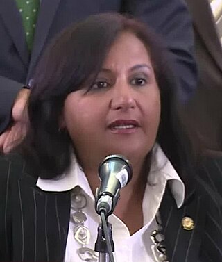 <span class="mw-page-title-main">Dinorah Figuera</span> Venezuelan politician and physician (born 1961)