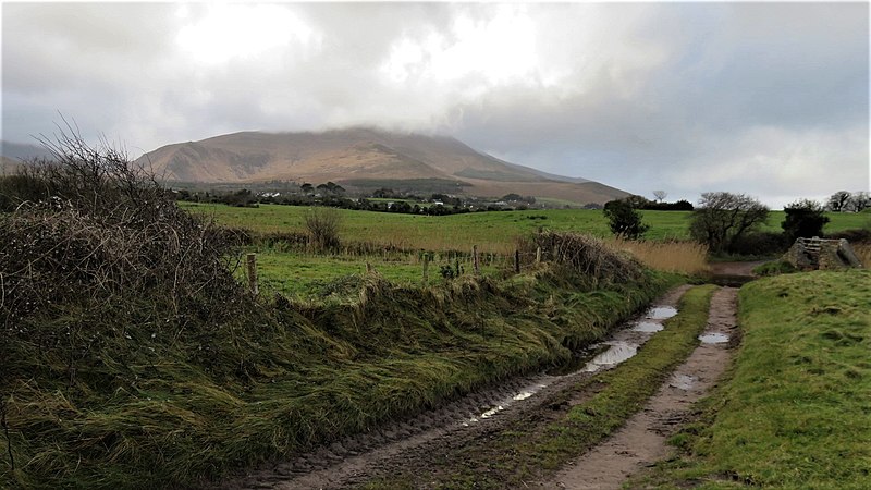 File:Dirt Road-7134, Dingle Peninsula, Co. Kerry, Ireland.jpg