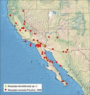 Distribution of Neopalpa species.jpg