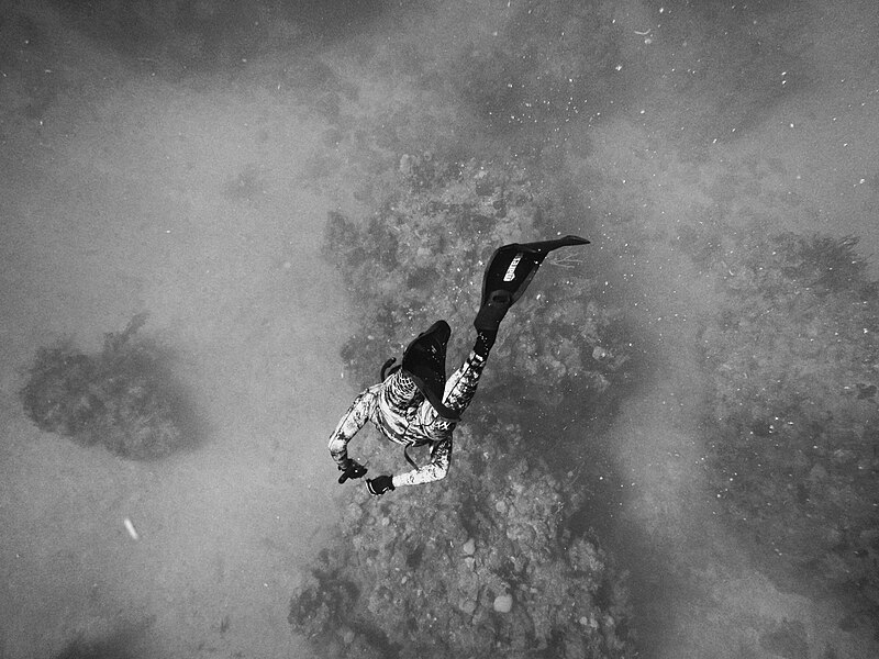 File:Diver in Guantánamo Bay (Unsplash).jpg