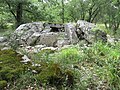 Dolmen du Pech de Grammont