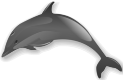 Delphin