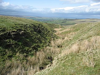 The Dry Burn Cleugh