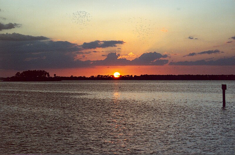 File:Dunedin, Fl Marina sunset0026.jpg