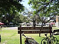 Bert Wright Park viewed from King William Street.