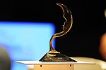 Thumbnail for Vladimir Herzog Award