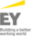 EY Logo Beam Tag Stacked RGB PL.png