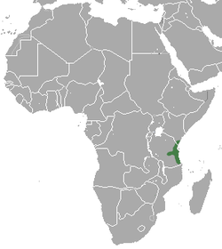 East African Little Collared Fruit Bat area.png